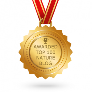 Best Nature Blogs