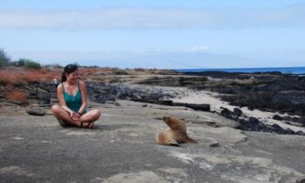 Q&A: Encounters with Wildlife on Galapagos Islands