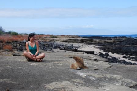 Q&A: Encounters with Wildlife on Galapagos Islands