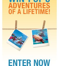 Attention All Shutterbugs: Win a FREE Trip by entering AC’s Photo Contest!