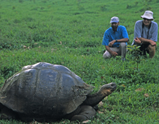 Blue-footed Boobies, Giant Tortoises, and More: The Galapagos Islands! (save $750!)