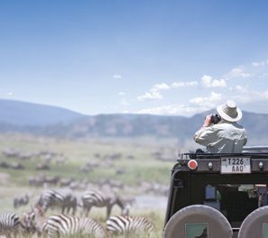 Announcing the Winner of our “Wild Wonders” Contest!