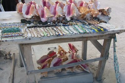 How to Avoid Buying Illegal Souvenirs