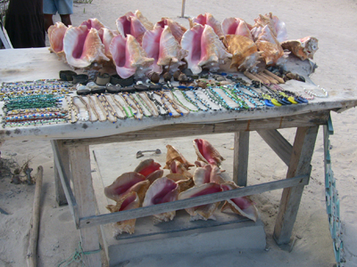 How to Avoid Buying Illegal Souvenirs