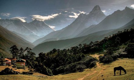 Natural Treasure Discovered in the Himalayas