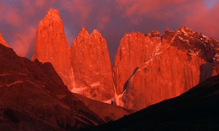 A Photo Made Me Do It