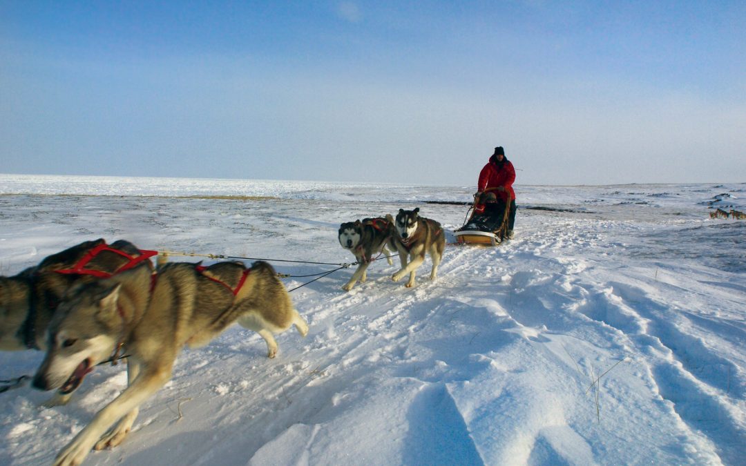 Live From Churchill: October 27, 2009