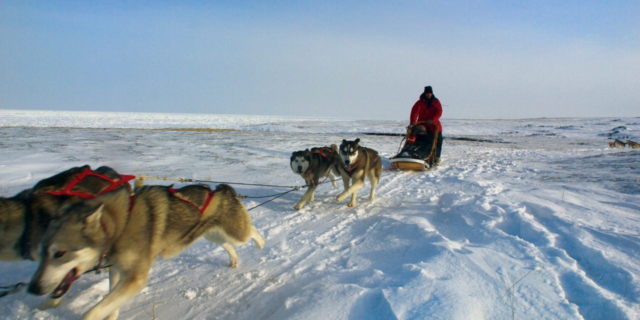 Live From Churchill: October 27, 2009