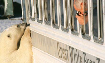 Live From Churchill: October 28, 2009