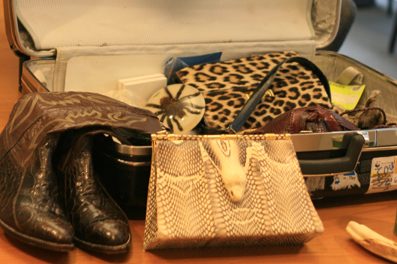 A Suitcase Full of Trouble