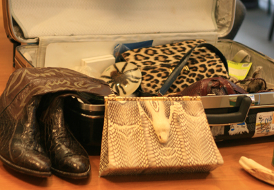 A Suitcase Full of Trouble