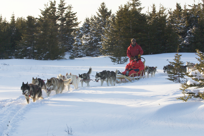 Live from Churchill: Nov 16, 2009