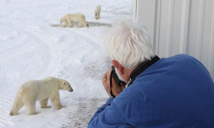 Live from Churchill: Nov 2, 2009