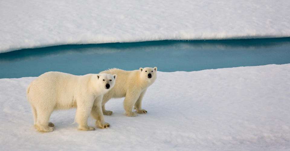 Live From Churchill: Nov 10, 2009