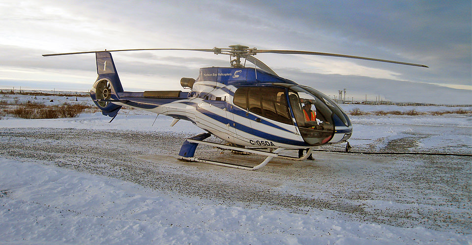 Live from Churchill: Nov 17, 2009