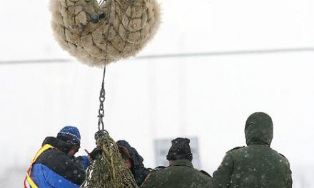 Live from Churchill: Nov 1, 2009