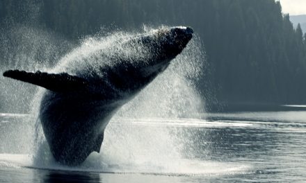 In the Unplanned Moments, Travel Happens