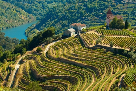 Duaro Valley River of wine Portugal