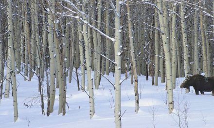 The Power of Place Names