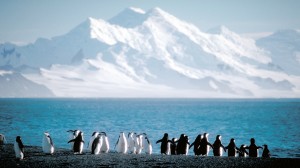 penguins and mountains Antarctica