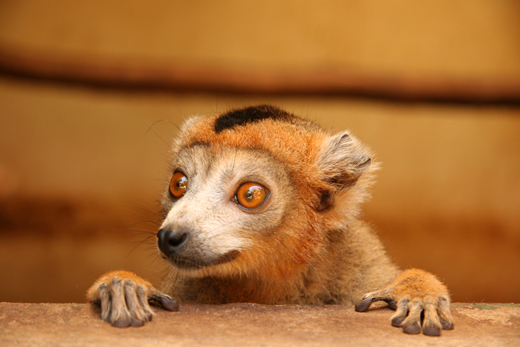 10 Inspirational Nature Quotes