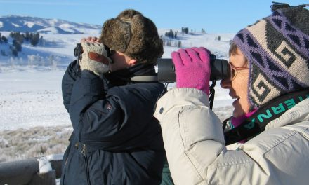 The Things You Carry