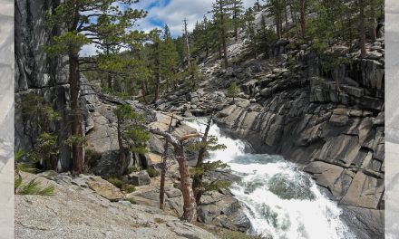 Traveling with an Adult Child: Yosemite