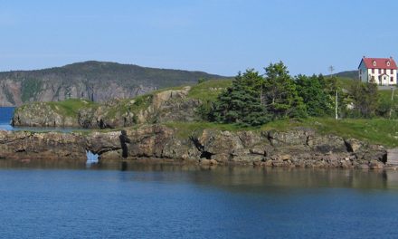 Adventures into Other Lives