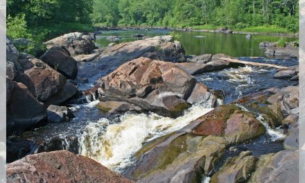 Reading the Empty and Open Places