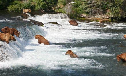 Never Can Say Goodbye