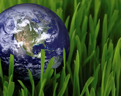 Care About Greener Travel? Make Your Views Heard!