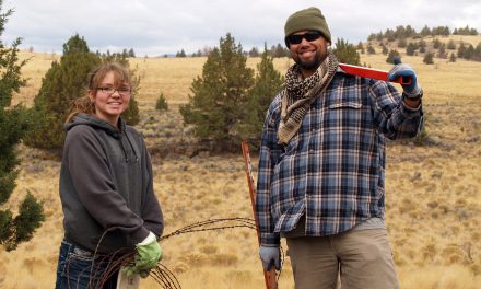 Voluntourism: Mixing Vacations with Work