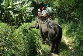 Choosing the Right Tour Operator: 6 Questions to Ask