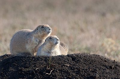 We Have a Geo Quiz Winner!