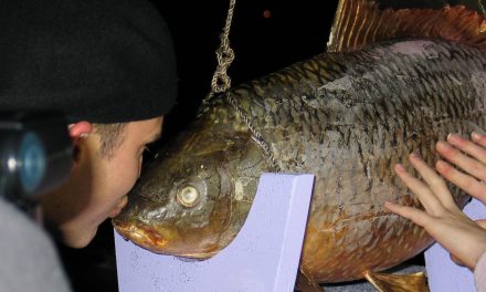 The Timing of Your Travels