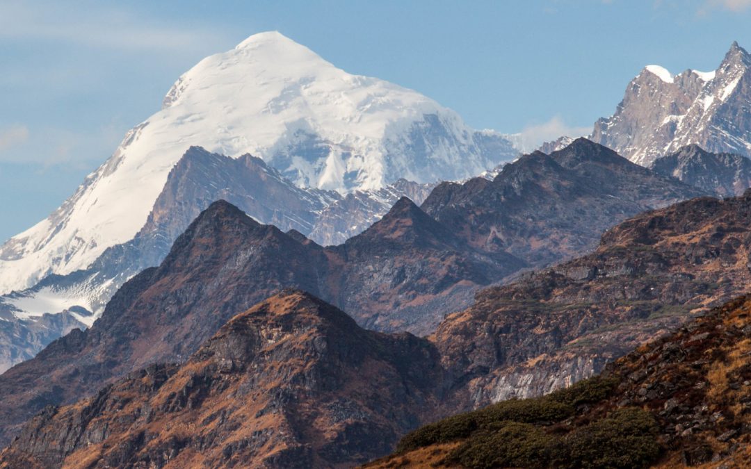 Video: Bhutan’s Tigers Do Live High