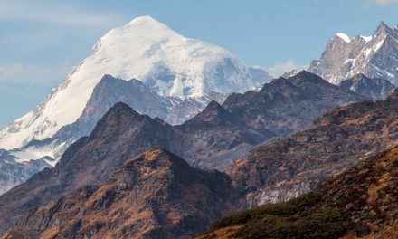 Video: Bhutan’s Tigers Do Live High