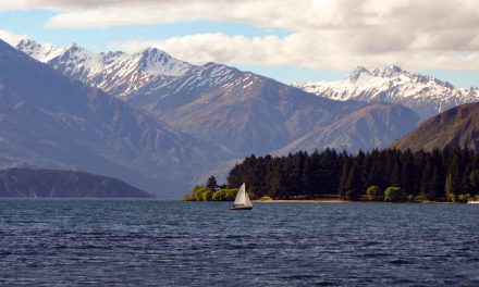 Adventure on the Cruise Ship "Splendor"—Really?