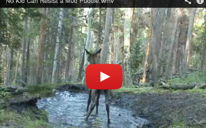 No Kid Can Resist a Mud Puddle