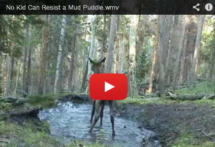 No Kid Can Resist a Mud Puddle