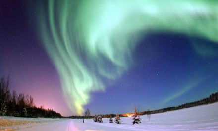 Northern Lights: Nature’s Winter Magic