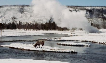 Happy Birthday, Yellowstone National Park!