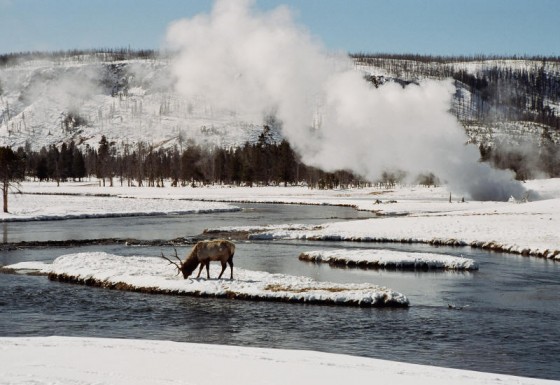 Happy Birthday, Yellowstone National Park!