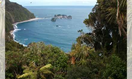 Natural Disasters: An Ecotourism Tool?