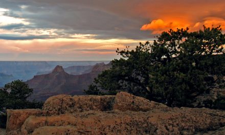 The Adventures of a Photo