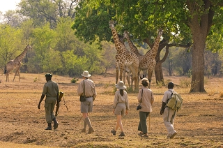 Meet Rita Kinstler: Nat Hab Adventurer Extraordinaire