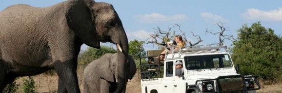 Botswana to ban wildlife hunting