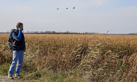 The Extinction of Handwriting and the Wobbly Travel Journal