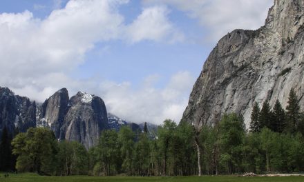 Yosemite to Cut Trees for Better Views