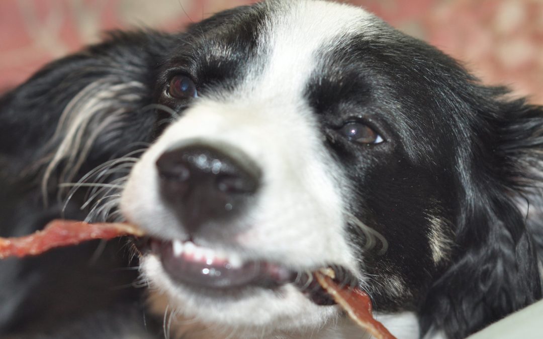 Video: Bacon—the Maple Kind